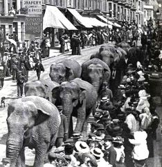 Circus-Parade-in-Queens-Road-Hastings-1905